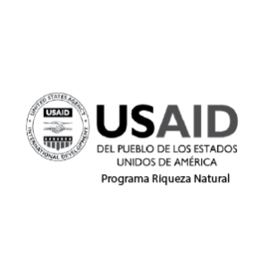 USAID-02